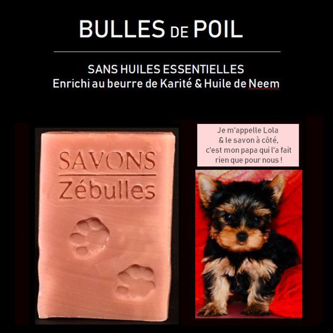 SAVON BULLES DE POIL (Savon pour animaux)